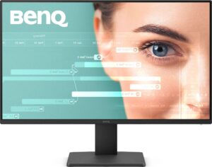 BenQ GW2491
