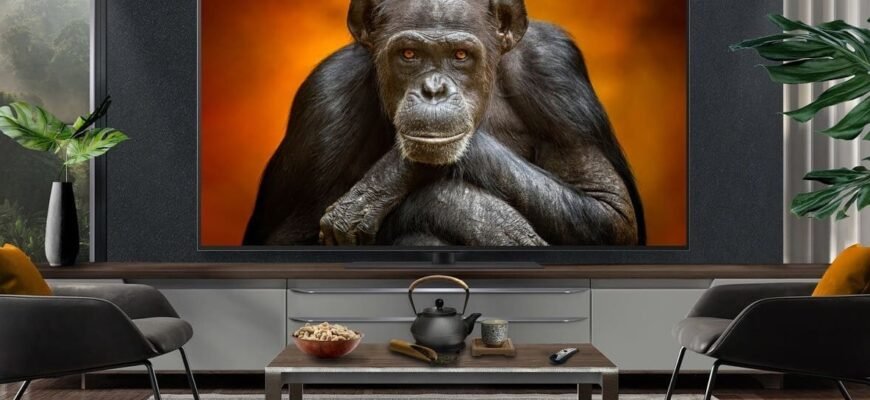 Маркировка телевизоров LG